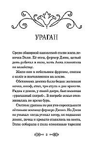 Burvis Smaragda pilsētas